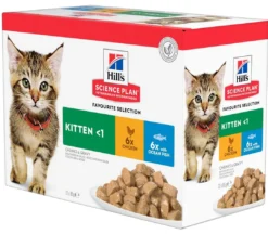 Hill's Science Plan Chat Kitten Multipack