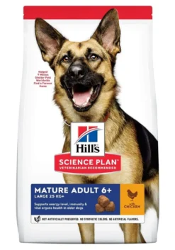 Hill's Science Plan Chien Mature Adult 6+ Large Breed Poulet