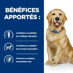 Hill's Prescription Diet Chien J/d Mobility Poulet 9 Hill's Prescription Diet Chien J/d Mobility Poulet -Promos Hill's Boutique 1646391690030 full 2