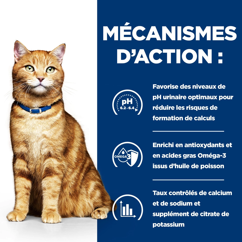 Hill's Prescription Diet C/D Urinary Mutlicare Croquettes Pour Chat Au Poulet 12kg 3 Hill's Prescription Diet C/D Urinary Mutlicare Croquettes Pour Chat Au Poulet 12kg – Image 3