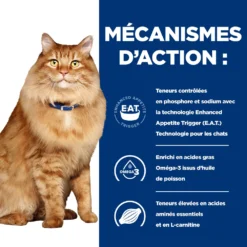Hill's Prescription Diet K/D J/D Kidney + Mobility Croquettes Pour Chat Au Poulet - 1.5Kg -Promos Hill's Boutique 52742044767 2 FR