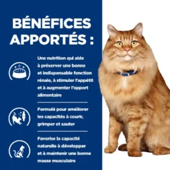 Hill's Prescription Diet K/D J/D Kidney + Mobility Croquettes Pour Chat Au Poulet - 1.5Kg -Promos Hill's Boutique 52742044767 3 FR