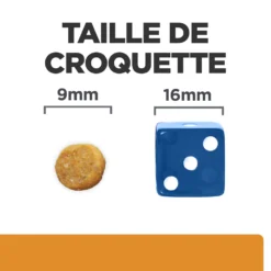 Hill's Prescription Diet K/D J/D Kidney + Mobility Croquettes Pour Chat Au Poulet - 1.5Kg -Promos Hill's Boutique 52742044767 4 FR