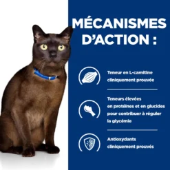 Hill's Prescription Diet M/d Diabète Croquettes Pour Chat Au Poulet 3kg 9 Hill's Prescription Diet M/d Diabète Croquettes Pour Chat Au Poulet 3kg -Promos Hill's Boutique 52742048208 2 FR