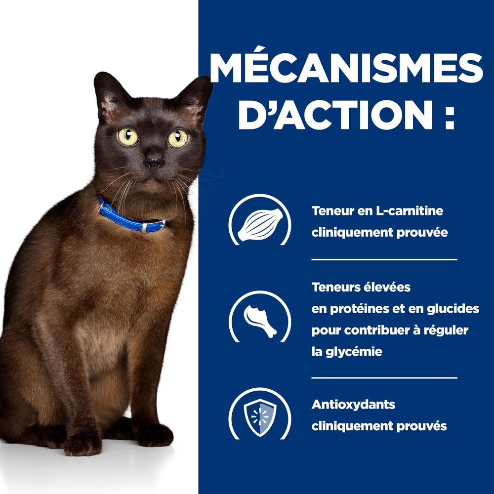 Hill's Prescription Diet M/d Diabète Croquettes Pour Chat Au Poulet 3kg 3 Hill's Prescription Diet M/d Diabète Croquettes Pour Chat Au Poulet 3kg – Image 3