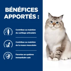Hill's Prescription Diet J/D Mobility Croquettes Pour Chat Au Poulet 3kg 9 Hill's Prescription Diet J/D Mobility Croquettes Pour Chat Au Poulet 3kg -Promos Hill's Boutique 52742048352 3 FR